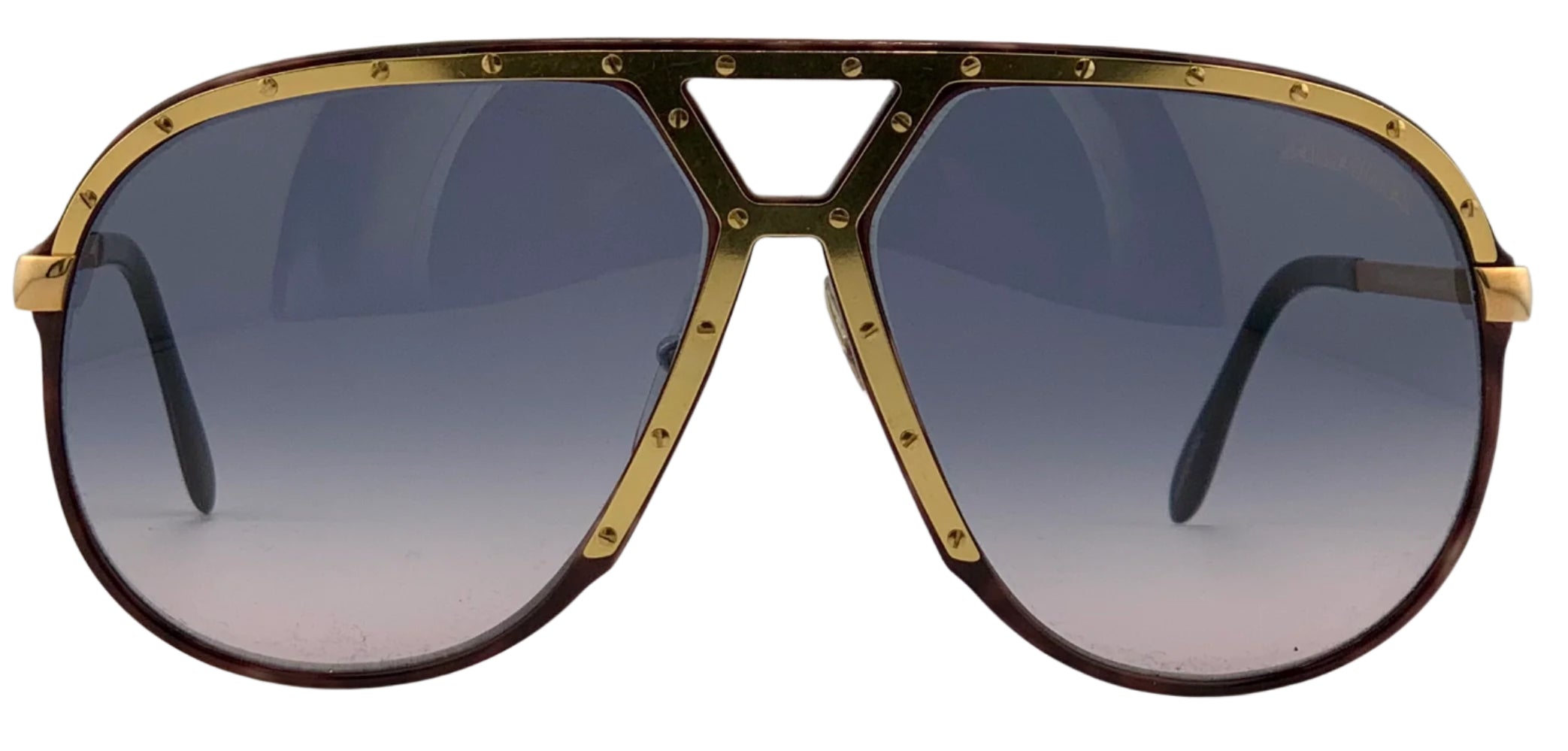 Alpina M1 Aviator Sunglasses